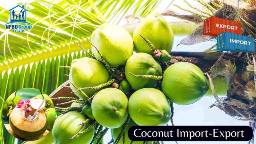 Tender Coconut Import Export Business Ideas - Ponnusamy Karthik