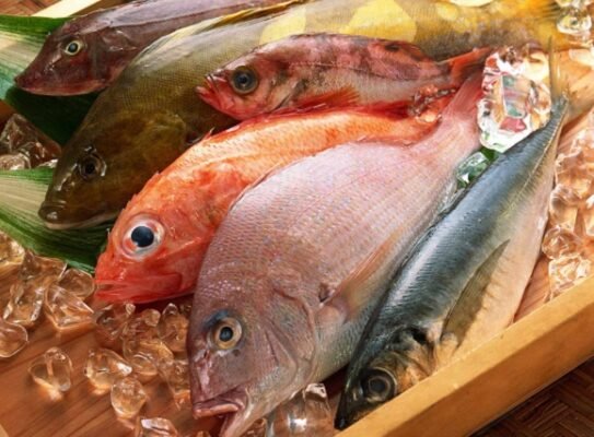 Fish import & Export - Ponnusamy Karthik