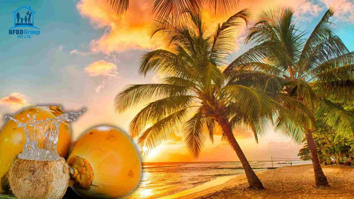Orange Coconut - Ponnusamy Karthik
