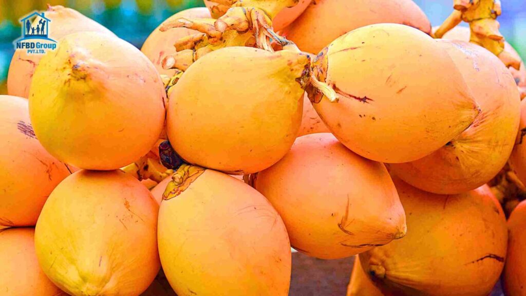 Orange Coconut Benefits - Ponnusamy Karthik