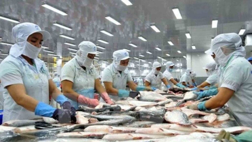 Fish Export Business - Ponnusamy karthik