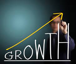 Business growth - Ponnusamy Karthik